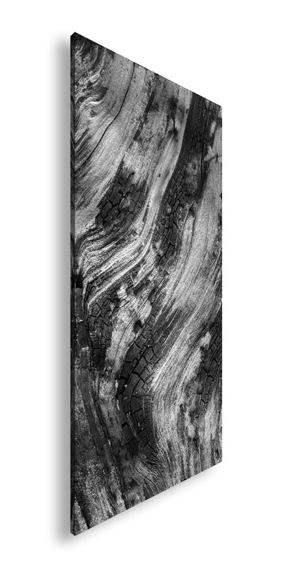 Hauptbild Schwarz & Weiß Panorama