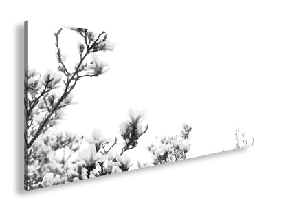 Hauptbild Schwarz & Weiß Panorama