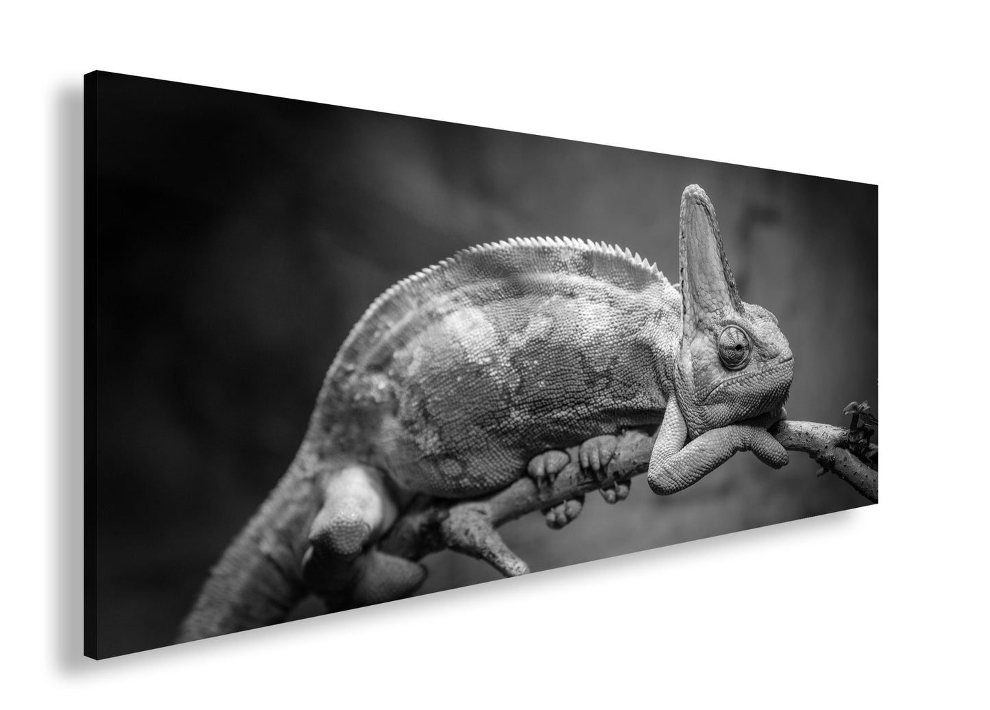 Hauptbild Schwarz & Weiß Panorama