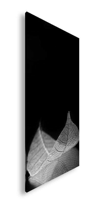 Hauptbild Schwarz & Weiß Panorama