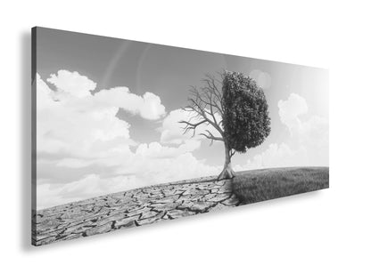 Hauptbild Schwarz & Weiß Panorama