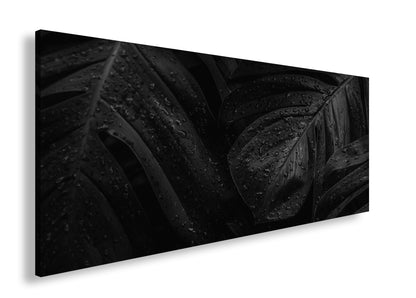 Hauptbild Schwarz & Weiß Panorama