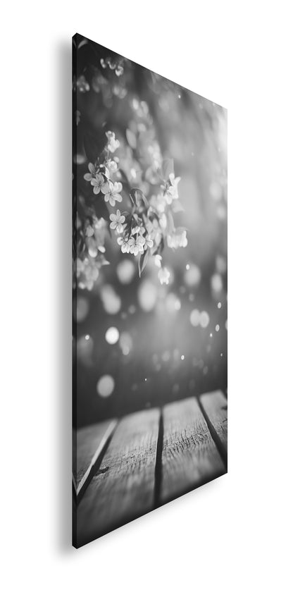 Hauptbild Schwarz & Weiß Panorama