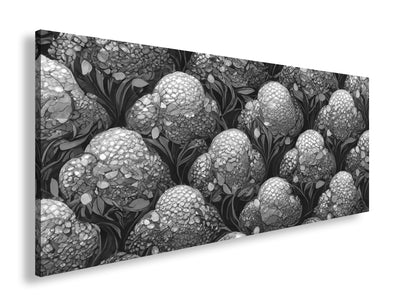 Hauptbild Schwarz & Weiß Panorama