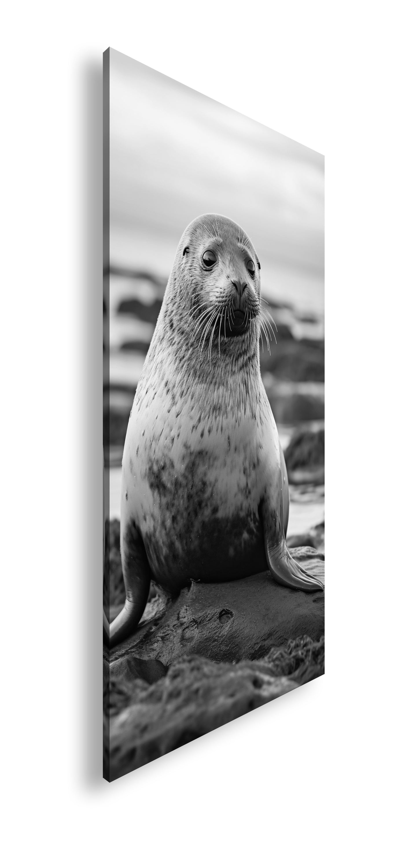 Hauptbild Schwarz & Weiß Panorama