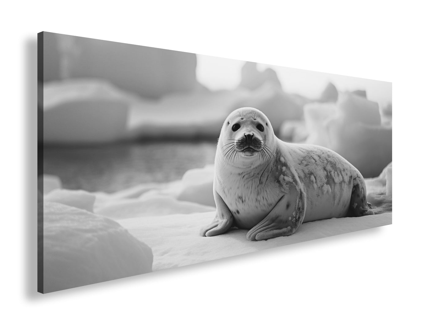 Hauptbild Schwarz & Weiß Panorama