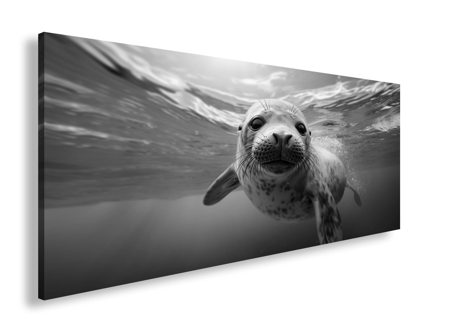 Hauptbild Schwarz & Weiß Panorama