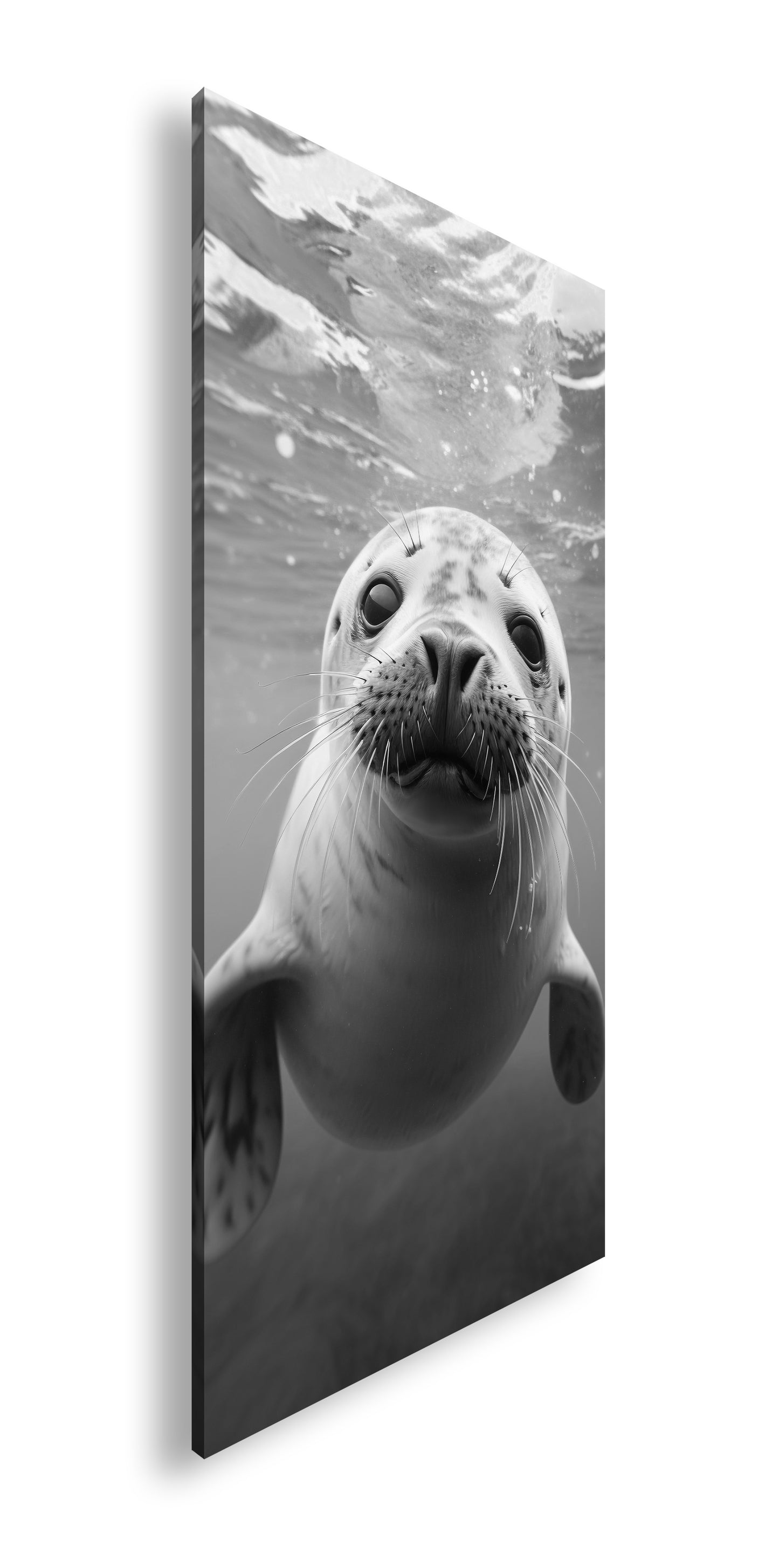 Hauptbild Schwarz & Weiß Panorama