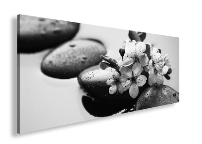 Hauptbild Schwarz & Weiß Panorama