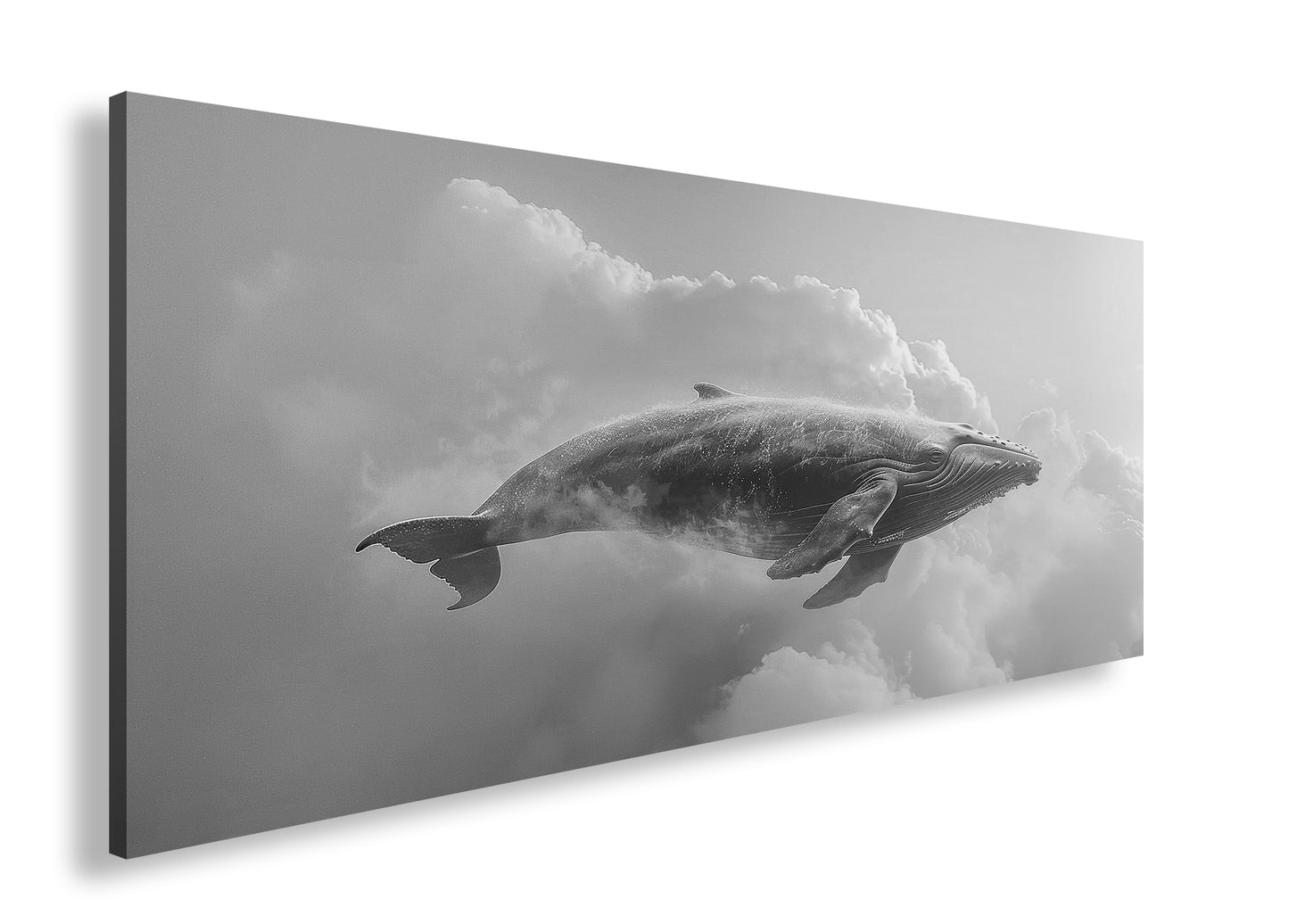 Hauptbild Schwarz & Weiß Panorama