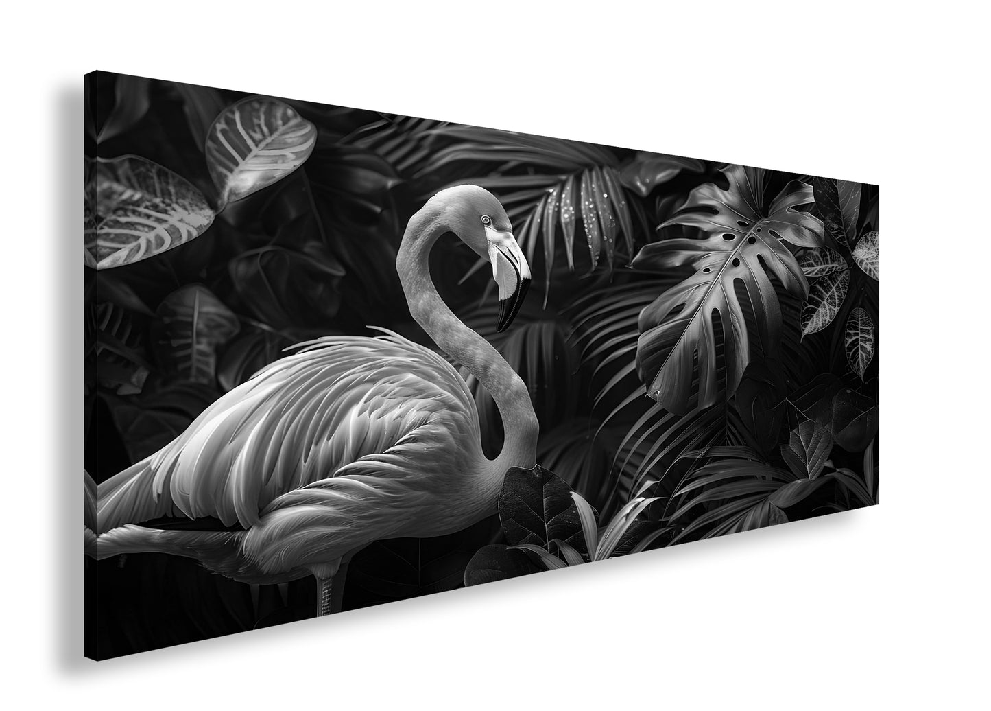 Hauptbild Schwarz & Weiß Panorama