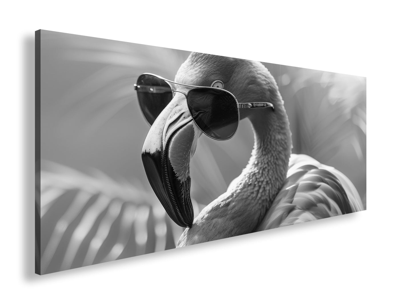 Hauptbild Schwarz & Weiß Panorama