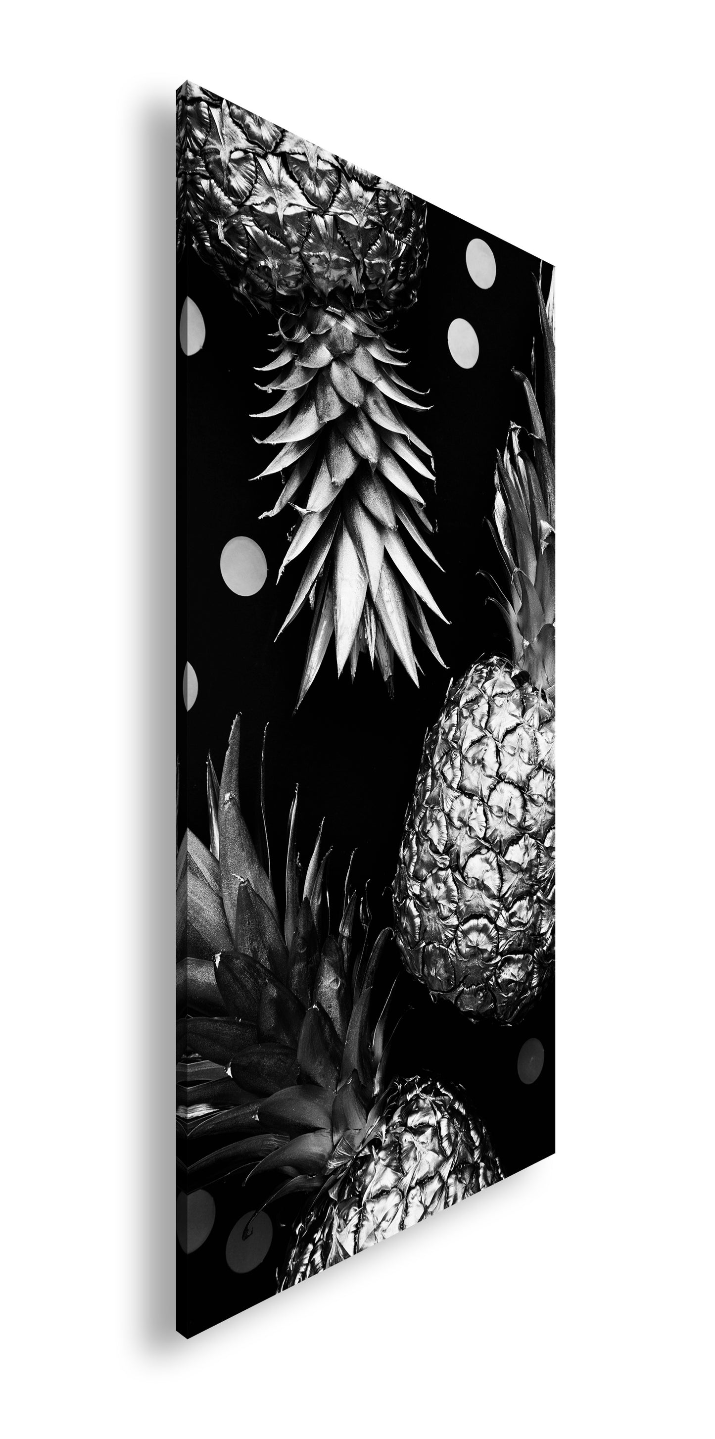 Hauptbild Schwarz & Weiß Panorama