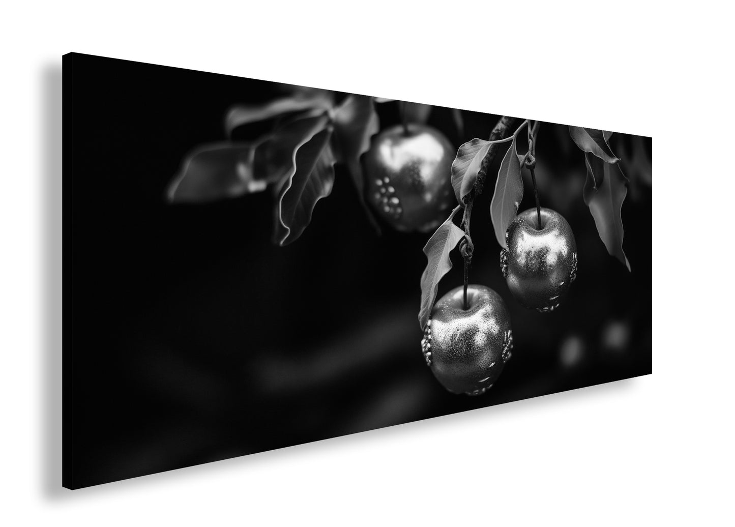 Hauptbild Schwarz & Weiß Panorama