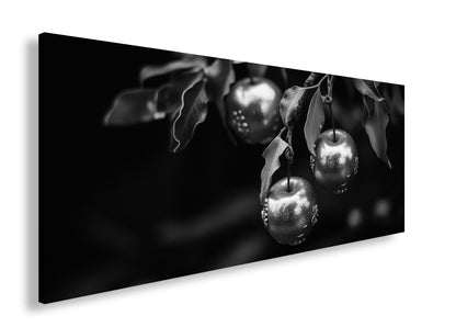 Hauptbild Schwarz & Weiß Panorama