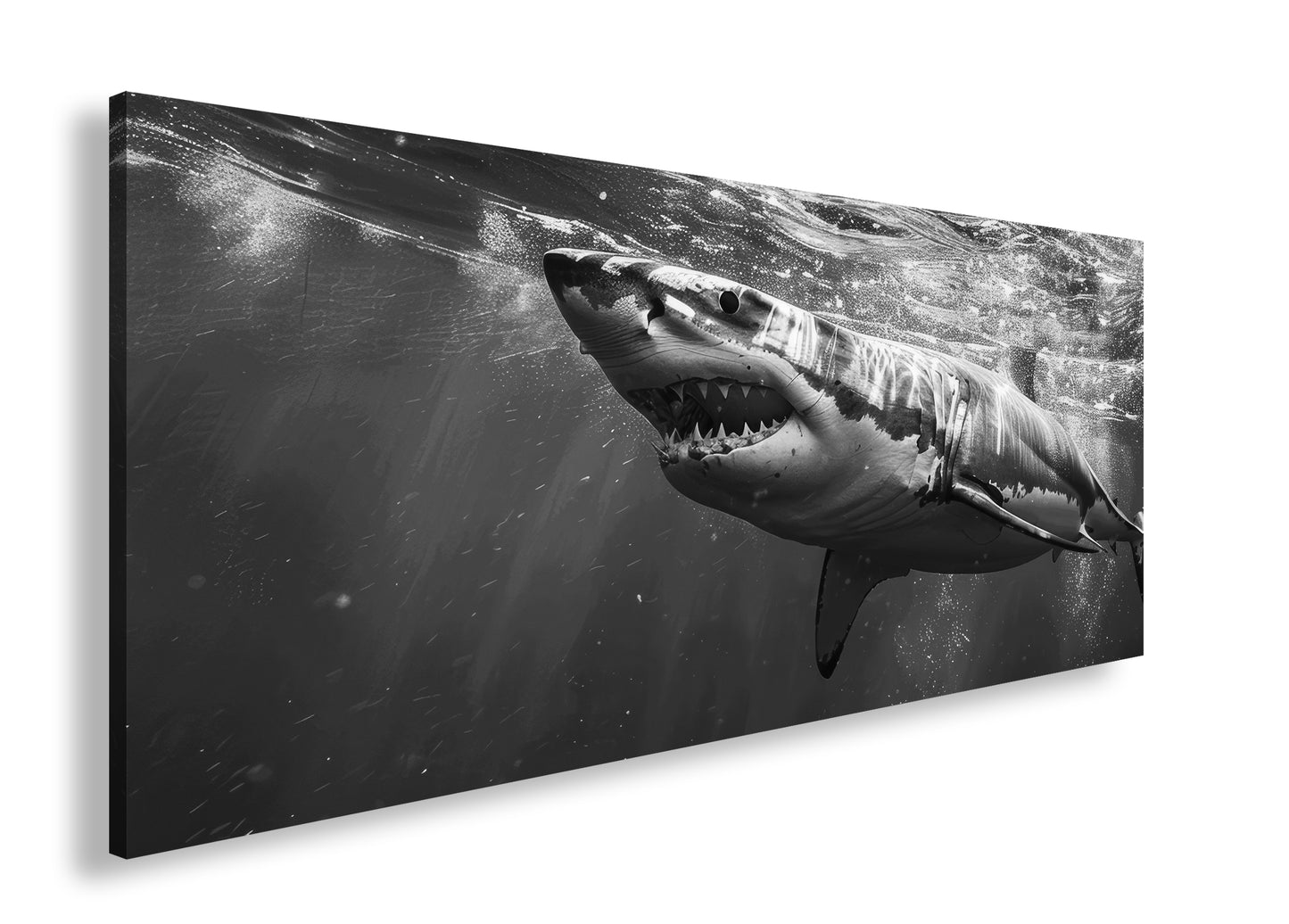 Hauptbild Schwarz & Weiß Panorama