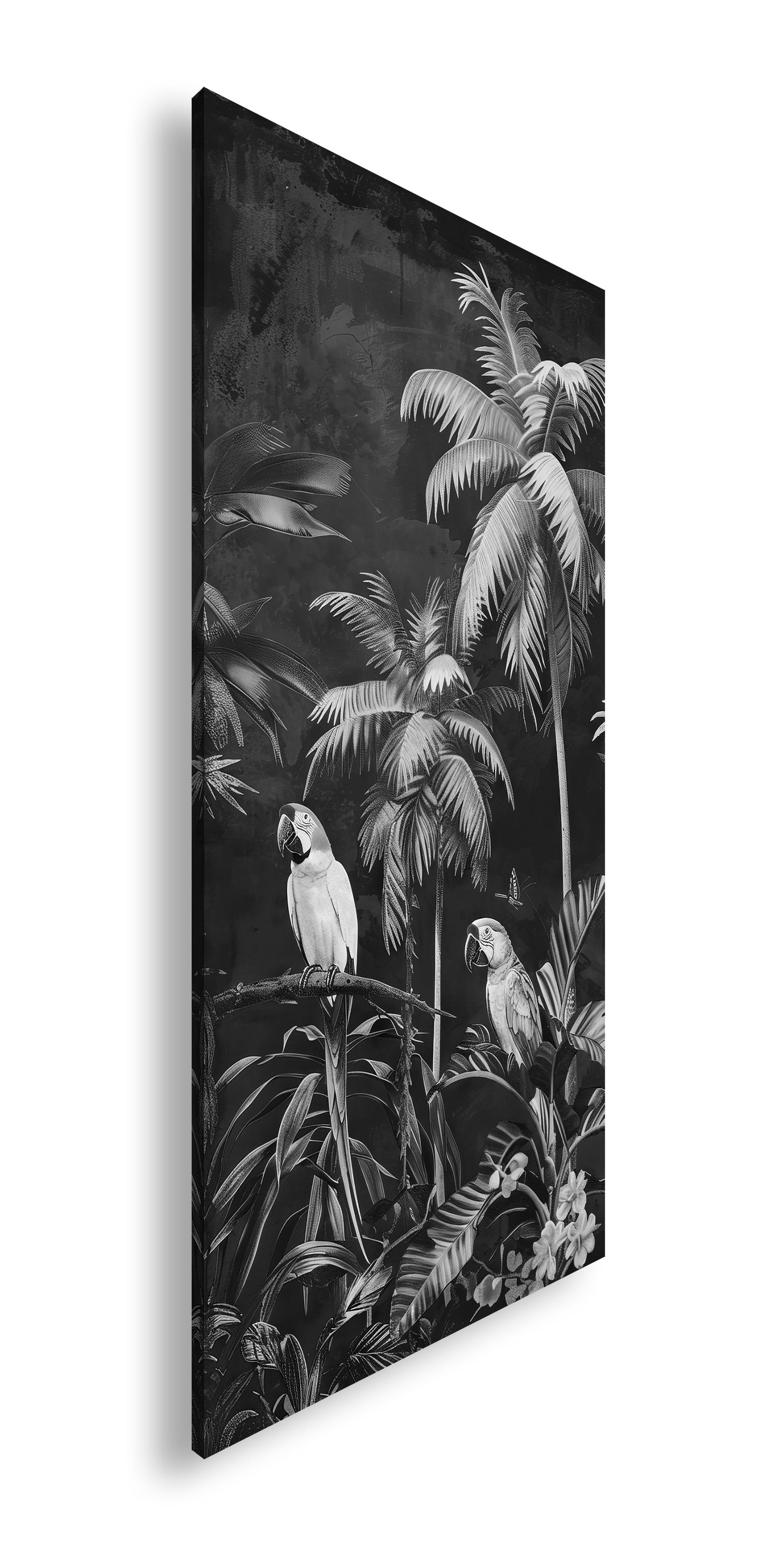 Hauptbild Schwarz & Weiß Panorama