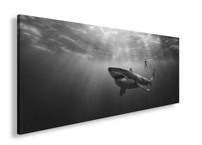 Hauptbild Schwarz & Weiß Panorama