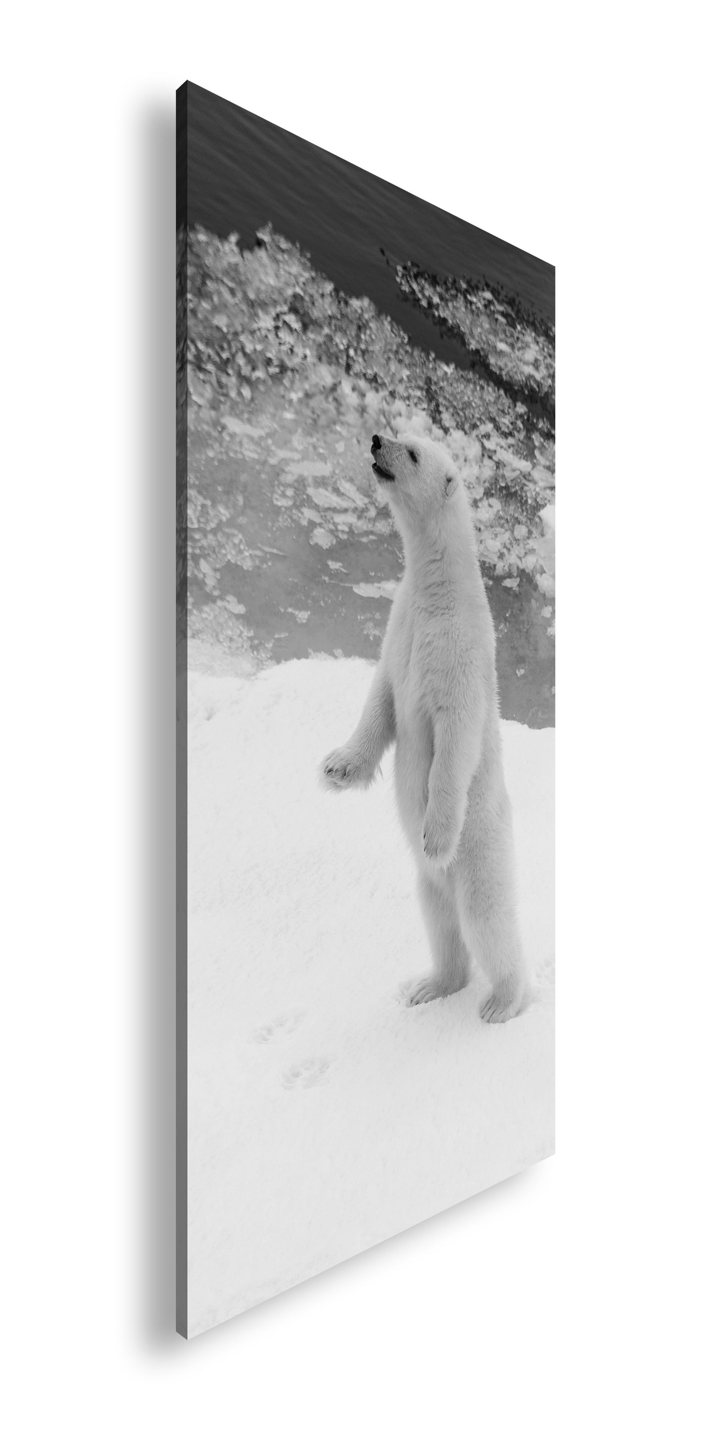 Hauptbild Schwarz & Weiß Panorama