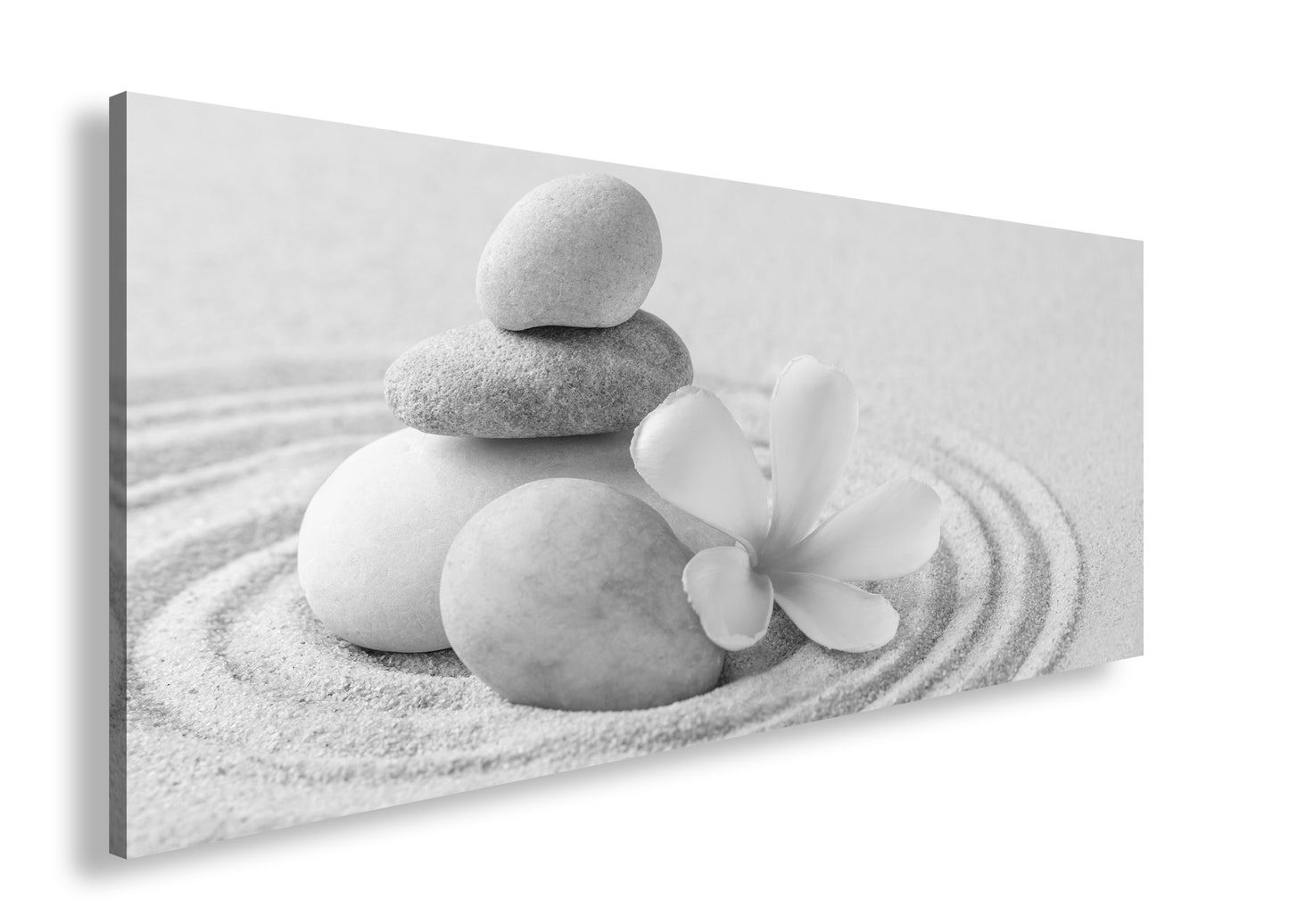 Hauptbild Schwarz & Weiß Panorama