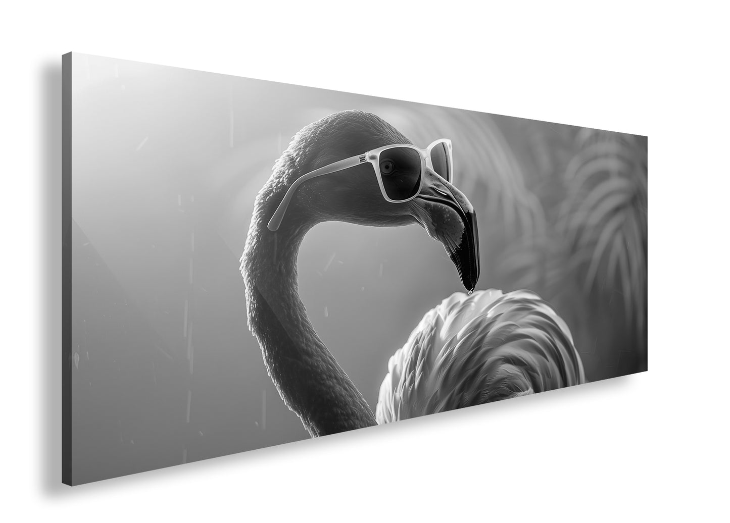 Hauptbild Schwarz & Weiß Panorama