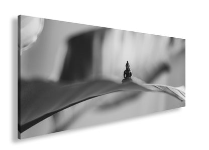 Hauptbild Schwarz & Weiß Panorama