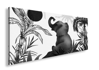 Hauptbild Schwarz & Weiß Panorama