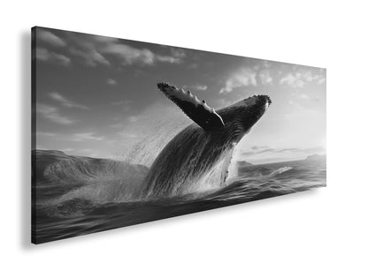 Hauptbild Schwarz & Weiß Panorama