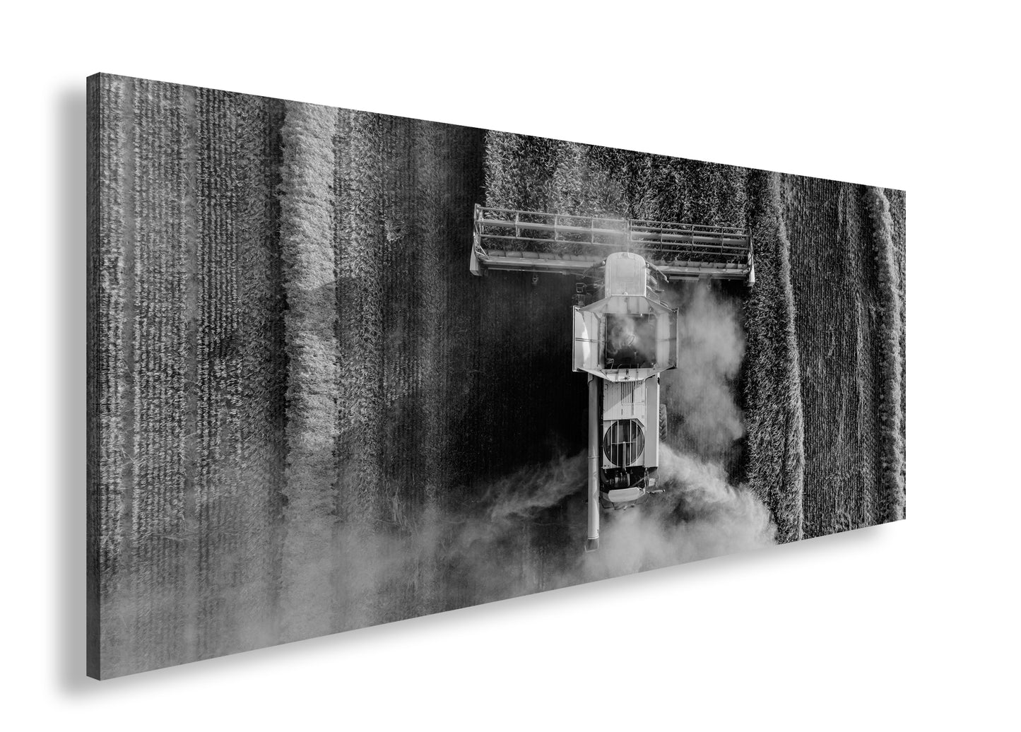 Hauptbild Schwarz & Weiß Panorama