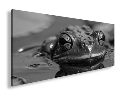 Hauptbild Schwarz & Weiß Panorama