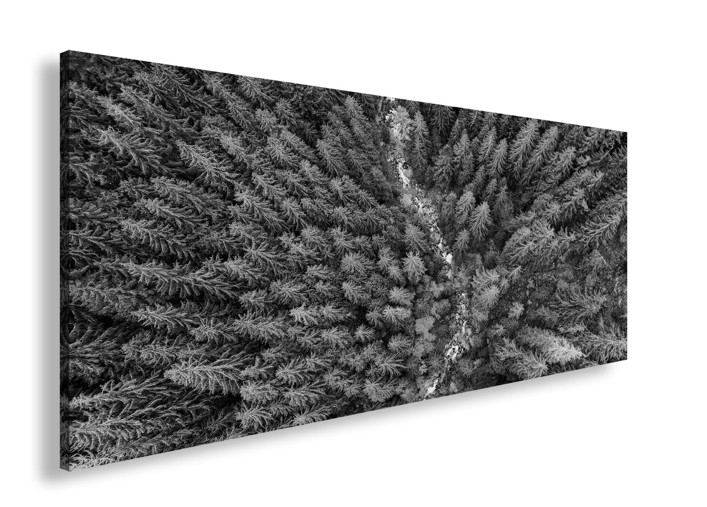 Hauptbild Schwarz & Weiß Panorama