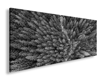 Hauptbild Schwarz & Weiß Panorama