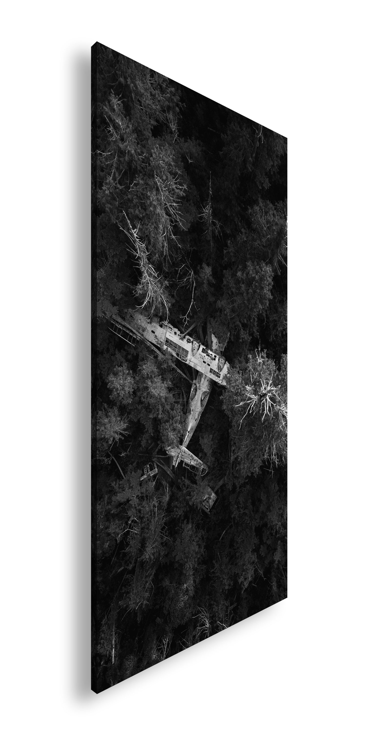 Hauptbild Schwarz & Weiß Panorama