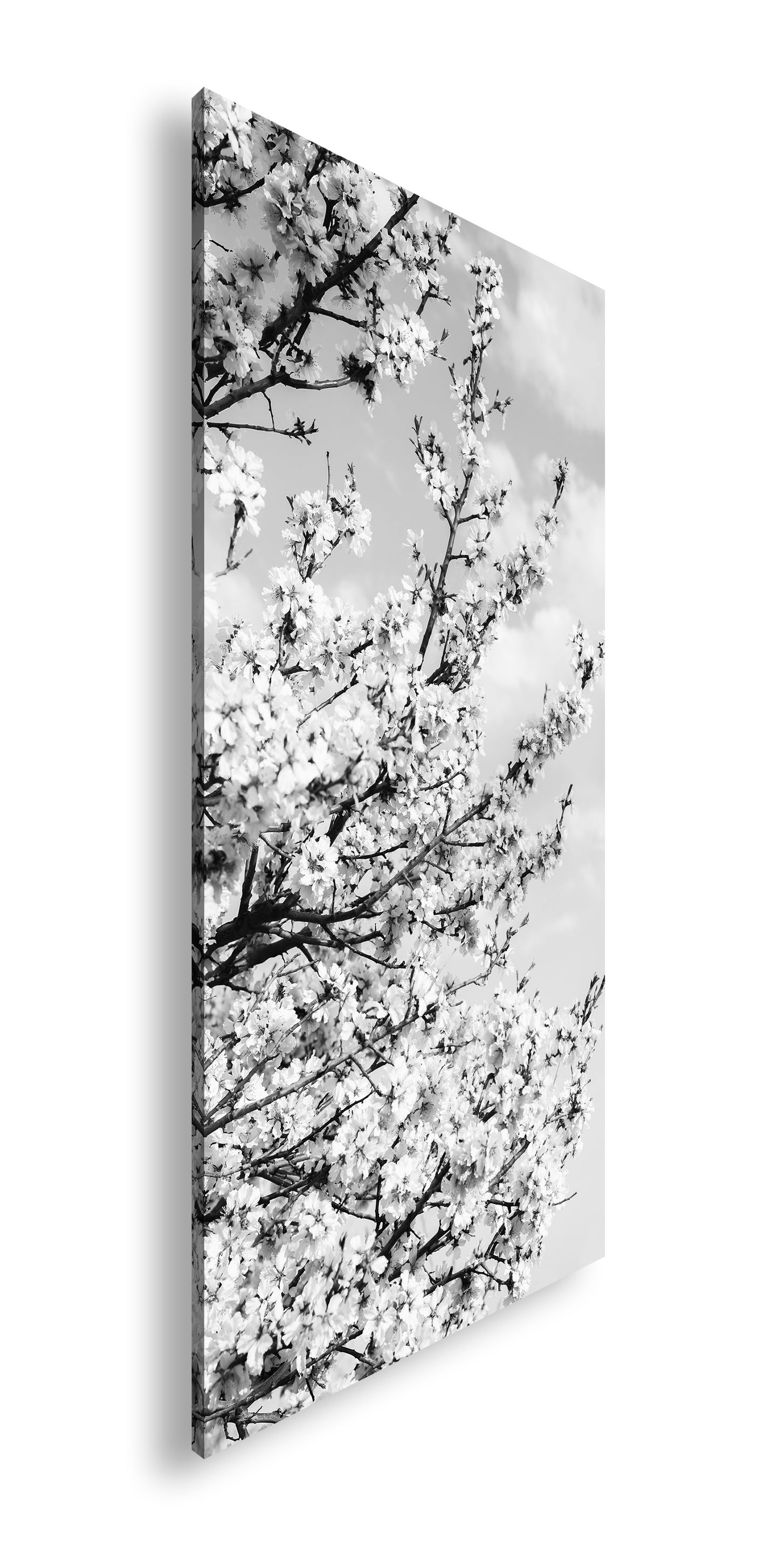 Hauptbild Schwarz & Weiß Panorama