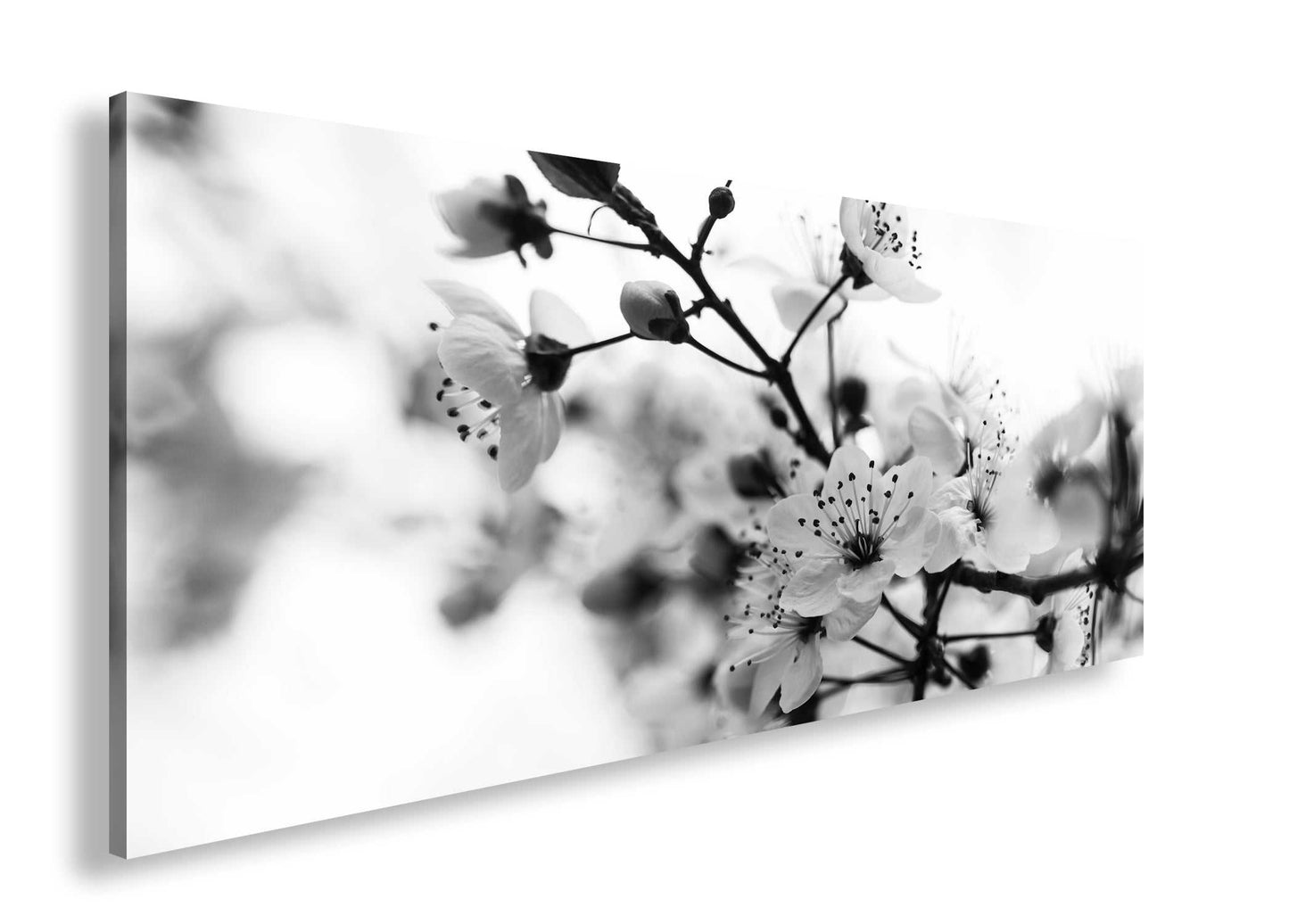 Hauptbild Schwarz & Weiß Panorama