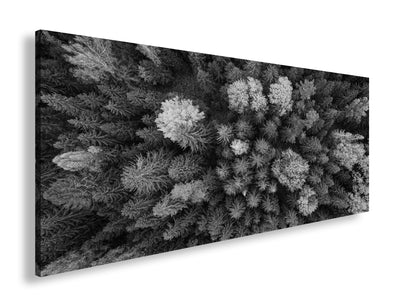 Hauptbild Schwarz & Weiß Panorama