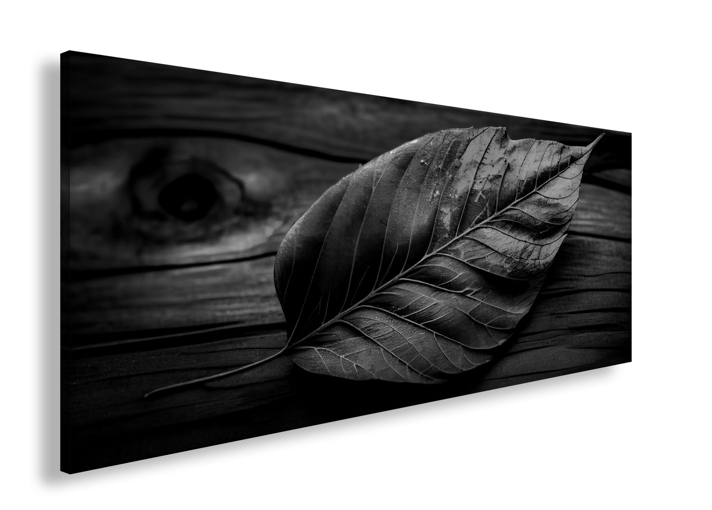 Hauptbild Schwarz & Weiß Panorama