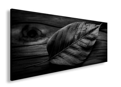 Hauptbild Schwarz & Weiß Panorama