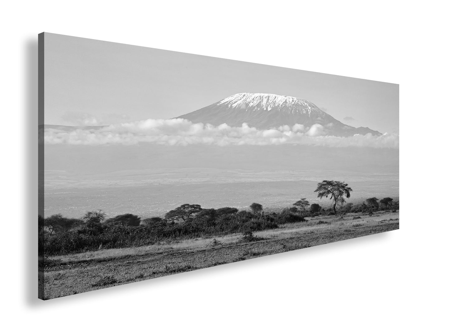 Hauptbild Schwarz & Weiß Panorama