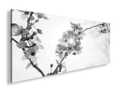 Hauptbild Schwarz & Weiß Panorama