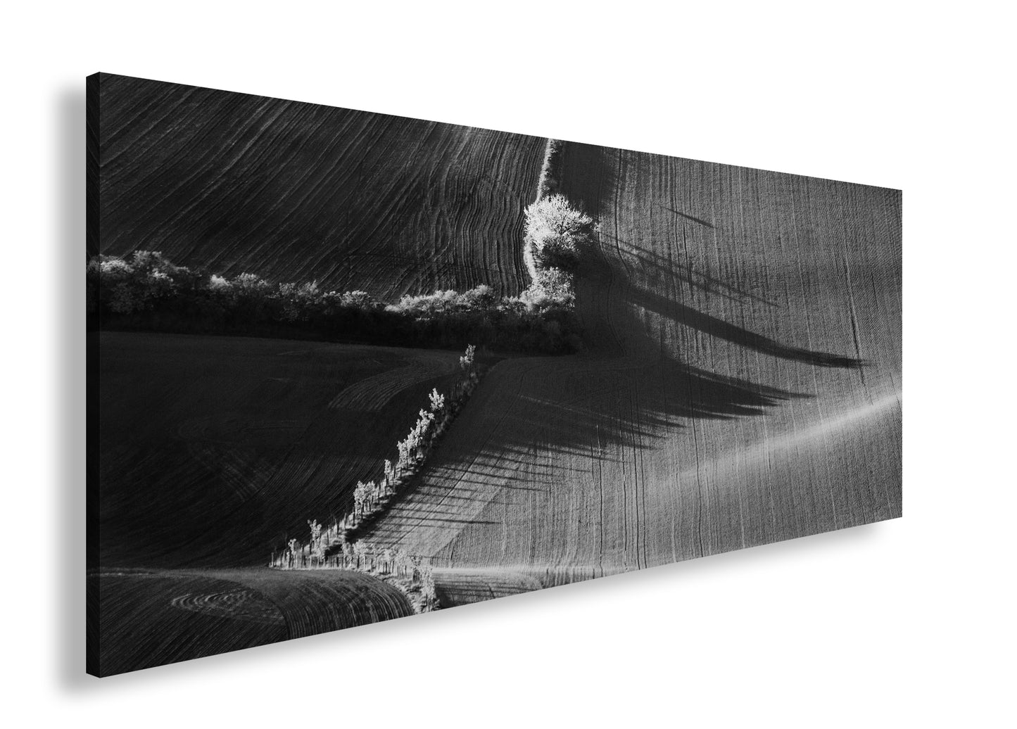 Hauptbild Schwarz & Weiß Panorama