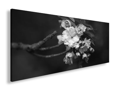 Hauptbild Schwarz & Weiß Panorama