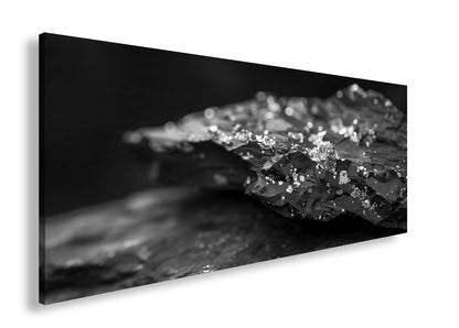 Hauptbild Schwarz & Weiß Panorama