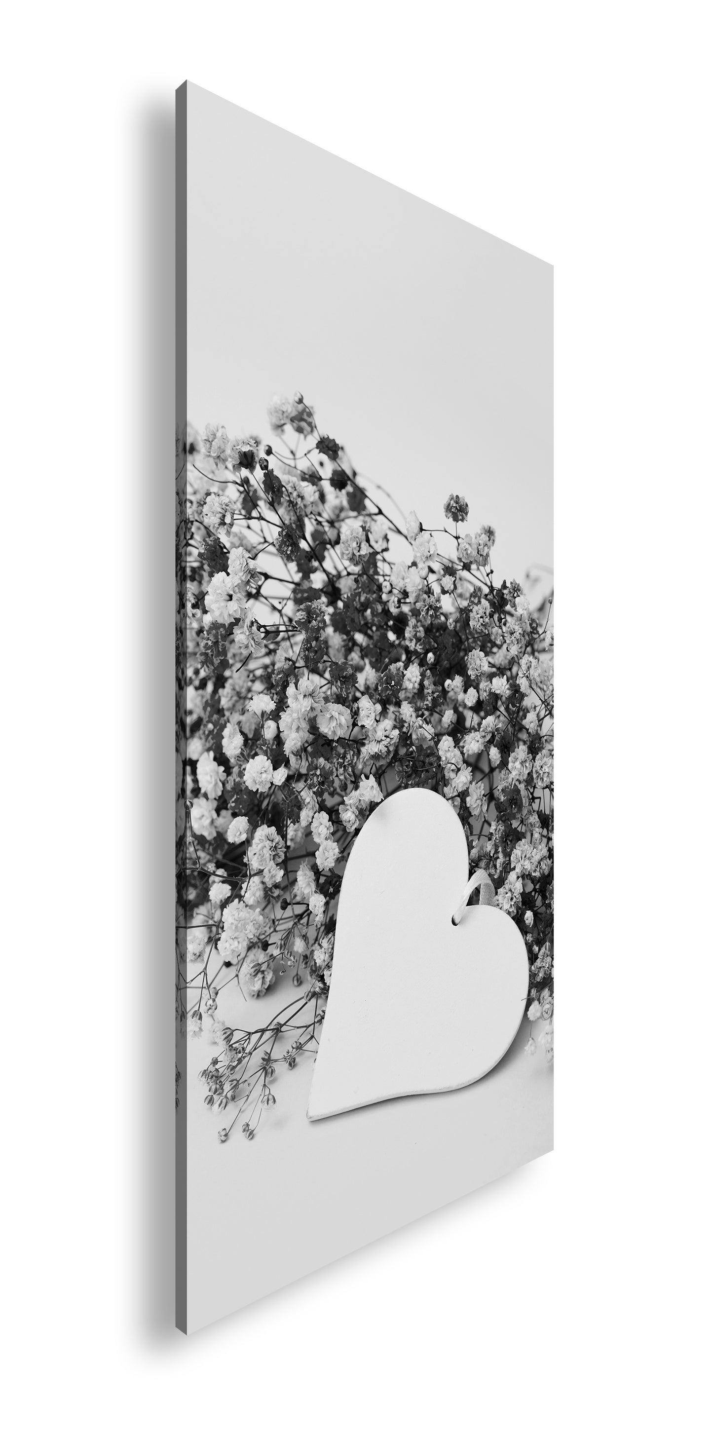 Hauptbild Schwarz & Weiß Panorama