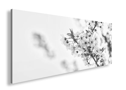 Hauptbild Schwarz & Weiß Panorama