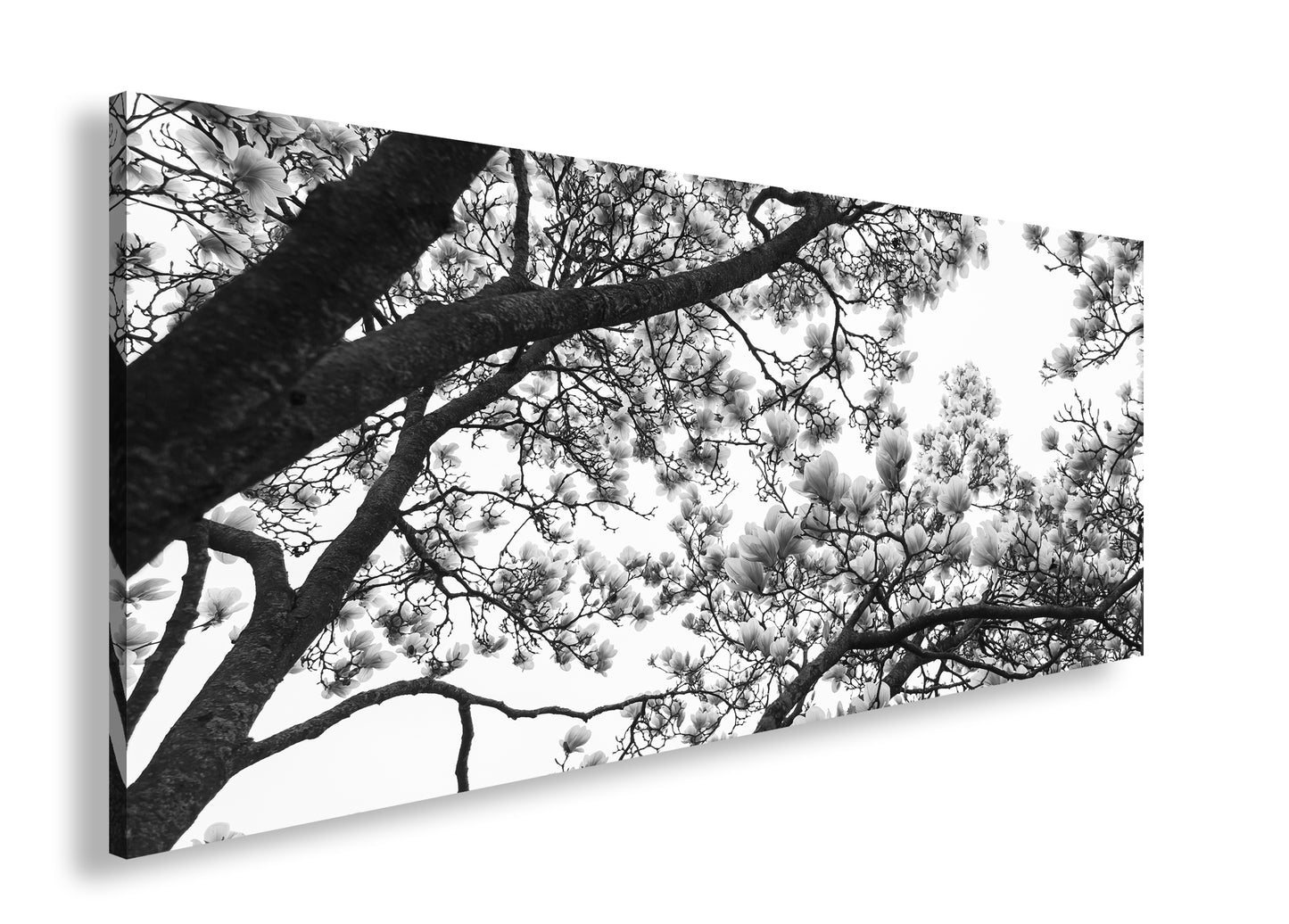 Hauptbild Schwarz & Weiß Panorama