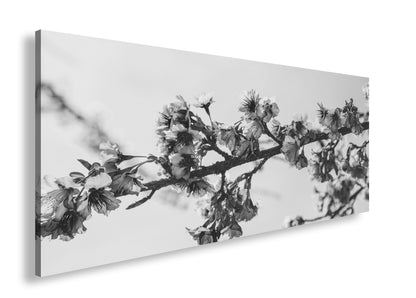 Hauptbild Schwarz & Weiß Panorama