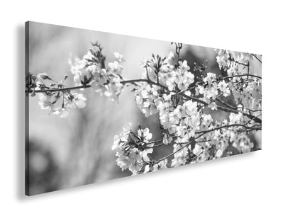 Hauptbild Schwarz & Weiß Panorama