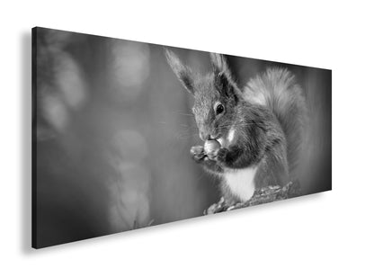 Hauptbild Schwarz & Weiß Panorama