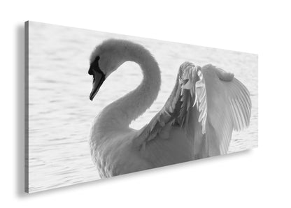 Hauptbild Schwarz & Weiß Panorama